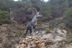 3614 24-11 ibex statue