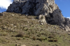 3736 28-11 view