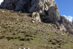3737 28-11 view