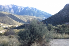 3743 28-11 view