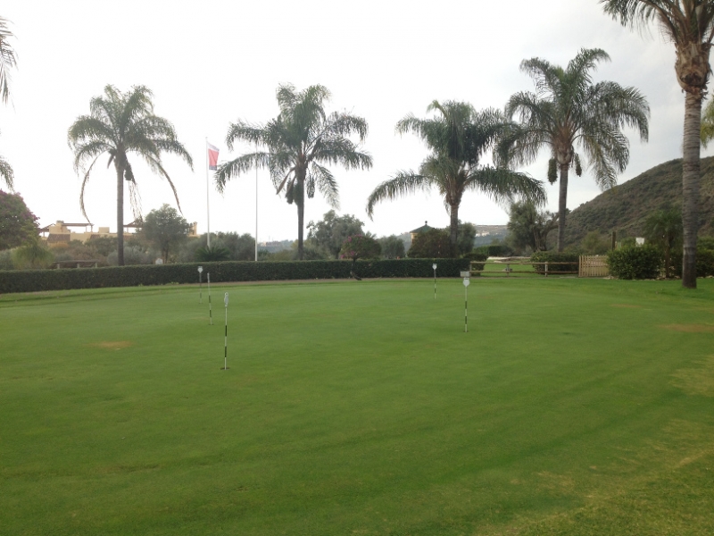 4023 7-12 Putting green