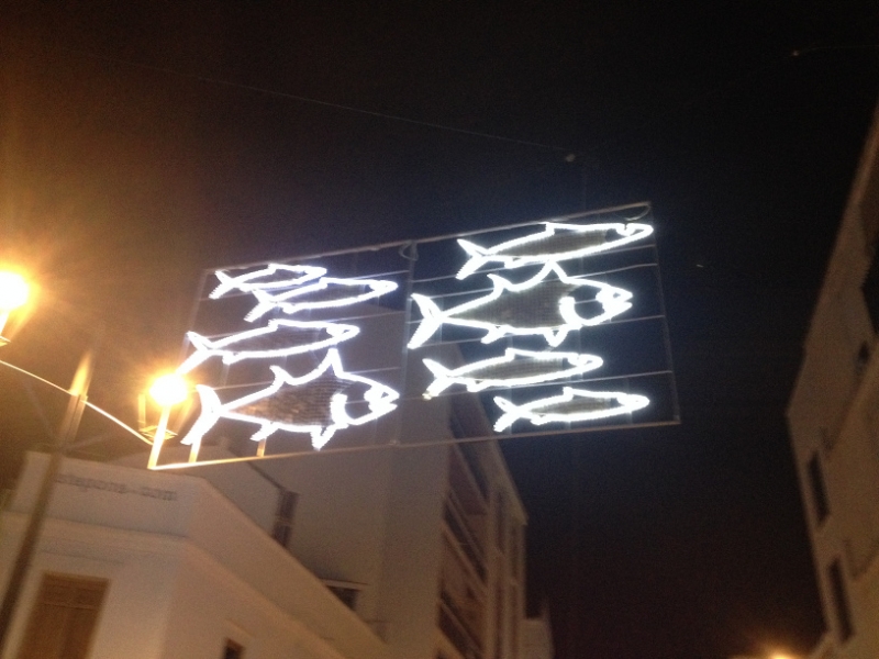 4047 7-12 fish lights