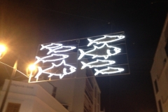 4047 7-12 fish lights