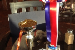 1697 15-10 trophy