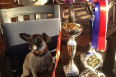 1698 15-10 bailey winner