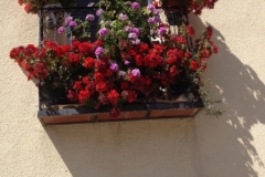 0492 Flower balcony