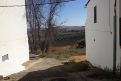 1169 between houses Atagua