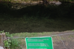 0050 31-8-16 swim at own risk