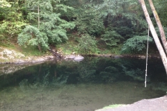 0051 31-8-16 swim at own risk