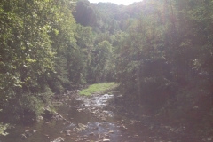 0060 1-9-16 morning river