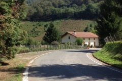 0065 1-9-16 Road to Leitza