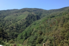 0067 1-9-16 Road to Leitza scenery