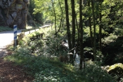 0068 1-9-16 Road to Leitza scenery