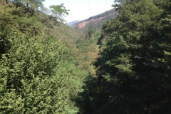 0071 1-9-16 Road to Leitza scenery