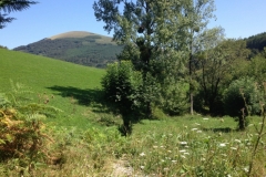 0074 1-9-16 Road to Leitza scenery
