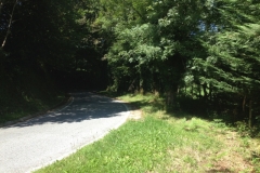 0076 1-9-16 Road to Leitza scenery