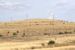 0365 windfarm