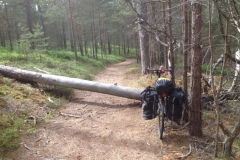 9414 22-6 obstacle course