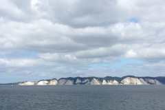 9557 5-7 white cliffs