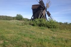 8933 22-5 Windmill
