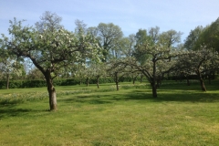 8939 22-5 orchard