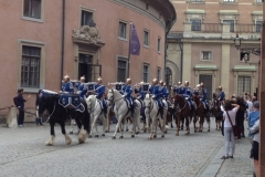 9249 11-6 horse guards Stockholm