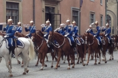 9250 11-6 horse guards Stockholm