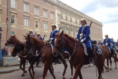 9251 11-6 horse guards Stockholm