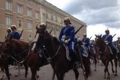 9252 11-6 horse guards Stockholm