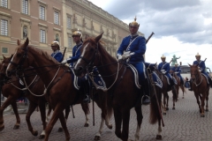 9253 11-6 horse guards Stockholm