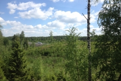 9291 14-6 View
