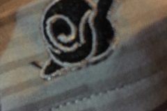 6778 8-3-19 snail logo