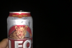 6780 8-3-19 Leo beer