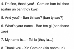 8675  6-6-19 screenshot phrases