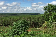 8682  7-6-19 view