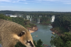 3190 1-5-18 Iguaco falls Brazil side