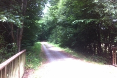 0044 Pont D'Ouilly to Ambrieres Les Vallees cycle path