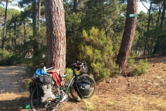 0501 camp 2