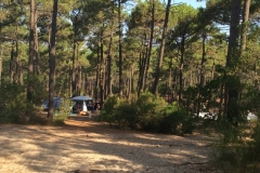 0503 camp 4