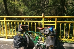 0508 forest trail 5