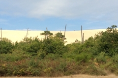 0516 Dune 2