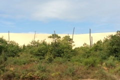 0515 Dune