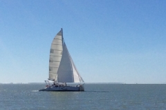 0341 Boat Trip Fort Boyard 11