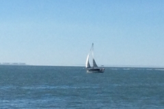 0346 Boat Trip Fort Boyard 16