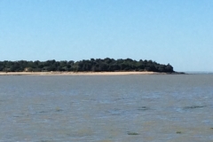 0337 Boat Trip Fort Boyard 7
