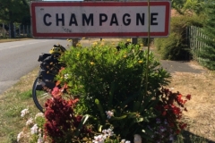0436 Champagne 2