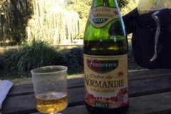 0441 Champagne Cider 2