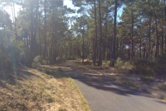 0472 Coast road