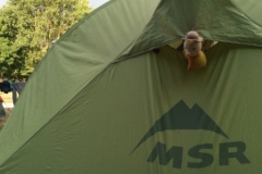 0303 La Rochelle campsite Brian 2