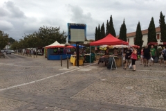 0550 Lit et Mixe market